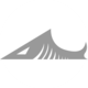 Silverfish Tees